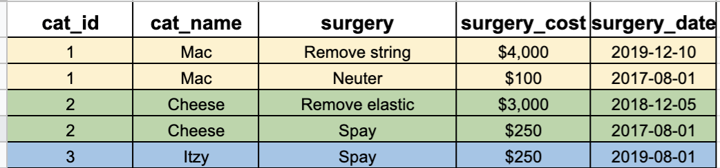 cat_surgery